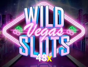 Security Systems 48x